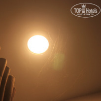 фото из отзыва ID 1420014