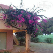 фото из отзыва ID 1420049