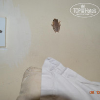 фото из отзыва ID 1420104