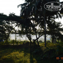 фото из отзыва ID 1420104