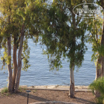 фото из отзыва ID 1420138