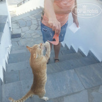 фото из отзыва ID 1420157