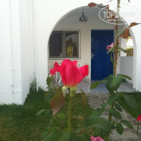 фото из отзыва ID 1420157