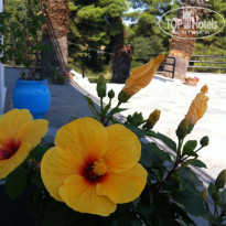 фото из отзыва ID 1420157