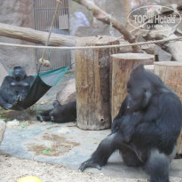 фото из отзыва ID 1420177