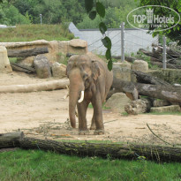 фото из отзыва ID 1420177