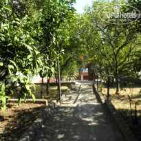 фото из отзыва ID 1420377