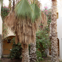 фото из отзыва ID 1420416