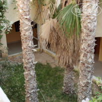 фото из отзыва ID 1420416