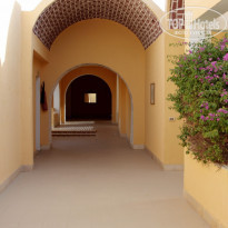 фото из отзыва ID 1420416