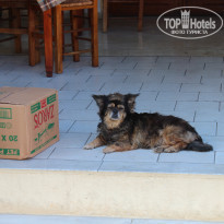 фото из отзыва ID 1420510