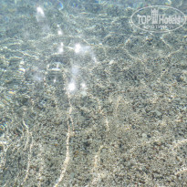 фото из отзыва ID 1420732