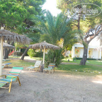 фото из отзыва ID 1420949