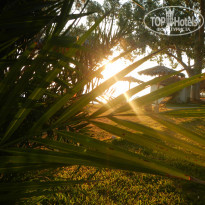 фото из отзыва ID 1420949