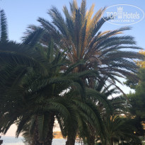 фото из отзыва ID 1420949