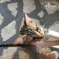 фото из отзыва ID 1420949