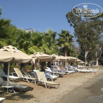 фото из отзыва ID 1420946