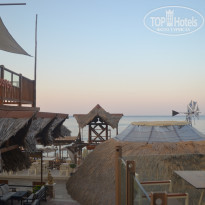 фото из отзыва ID 1421057