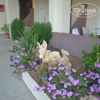 фото из отзыва ID 1421057