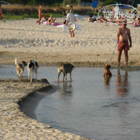 фото из отзыва ID 1421126