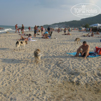 фото из отзыва ID 1421126