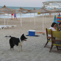 фото из отзыва ID 1421126