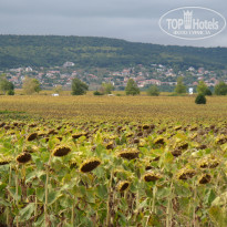 фото из отзыва ID 1421126