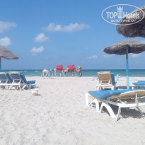 фото из отзыва ID 1421183