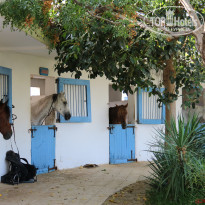 фото из отзыва ID 1421202