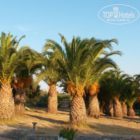 фото из отзыва ID 1421272