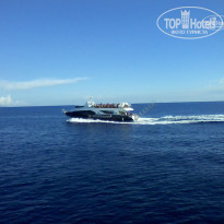 фото из отзыва ID 1421327