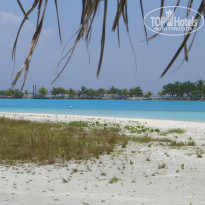 фото из отзыва ID 1421339