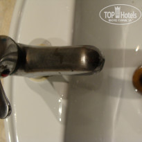 фото из отзыва ID 1421377