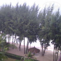 фото из отзыва ID 1421494