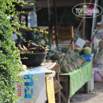 фото из отзыва ID 1421539