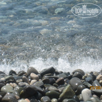 фото из отзыва ID 1421566