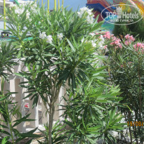 фото из отзыва ID 1421566