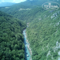 фото из отзыва ID 1421201