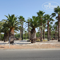 фото из отзыва ID 1421688