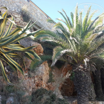 фото из отзыва ID 1421688