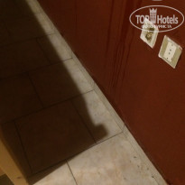 фото из отзыва ID 1421875