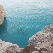 фото из отзыва ID 1421931