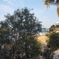 фото из отзыва ID 1421931