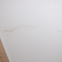 фото из отзыва ID 1421971