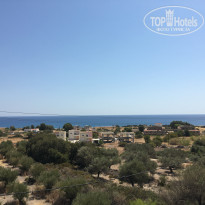 фото из отзыва ID 1422081