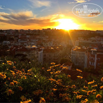 фото из отзыва ID 1422142