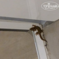 фото из отзыва ID 1422412