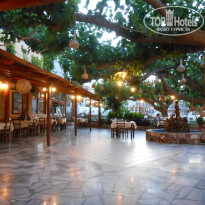 фото из отзыва ID 1422504