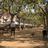 фото из отзыва ID 1422553