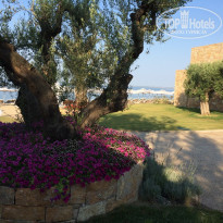 фото из отзыва ID 1422586